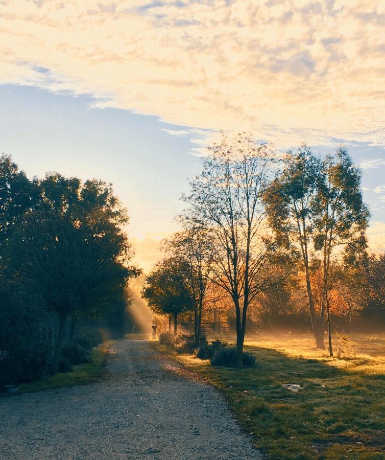 Gite Au Haras Des Arts Saint-Aubin-de-Bonneval Exteriér fotografie